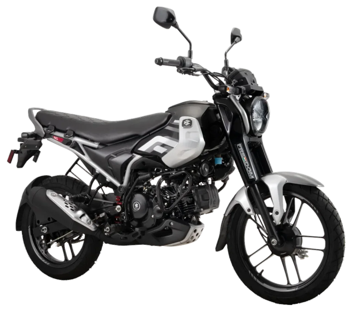 BAJAJ Freedom 125 NG04 Pewter Grey